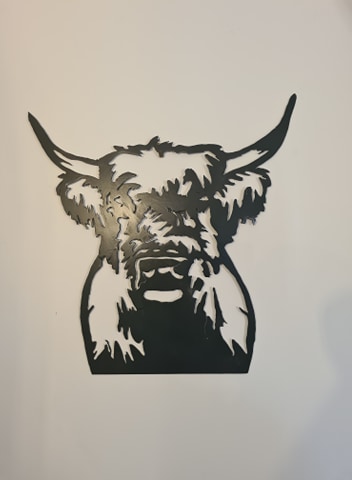 Highland Cow